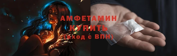 гашиш Богданович