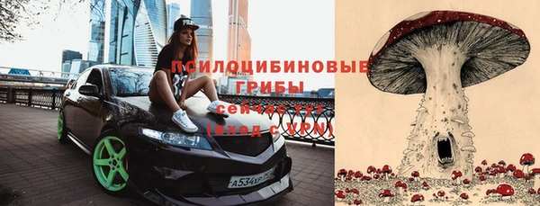 молекула духа Беломорск