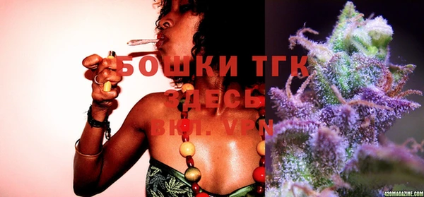 гашиш Богданович