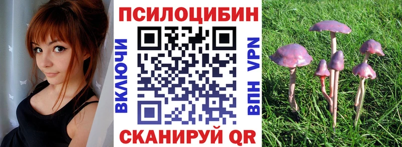 ОМГ ОМГ маркетплейс Дагестанские Огни Галлюциногенные грибы прущие грибы